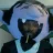 Bonder